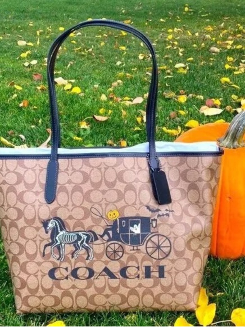 Coach Halloween tote and pumpkin driver coach wagon new